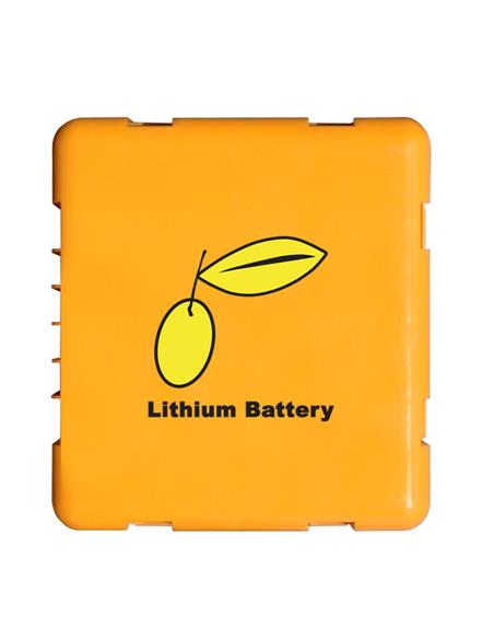BATERIA LITIO VAREADORA FLEX