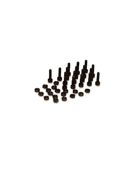 KIT TORNILLOS EMPUÑADURA EVOLUTION (18)
