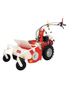 TT 503