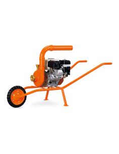 MBD 20 HCC