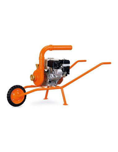 MBD 20 HCC
