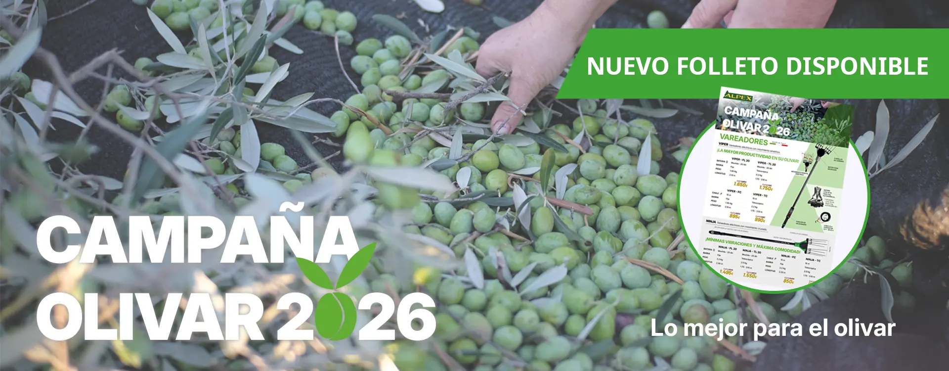 Campa&ntilde;a olivar 2026